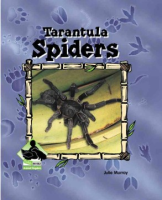 Tarantula_Spiders