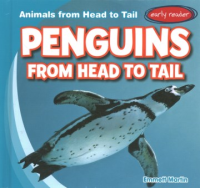 Penguins_from_head_to_tail