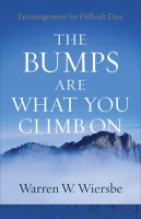 The_Bumps_Are_What_You_Climb_On