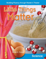 Little_Things_Matter