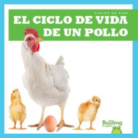 El_ciclo_de_vida_de_un_pollo__A_Chicken_s_Life_Cycle_