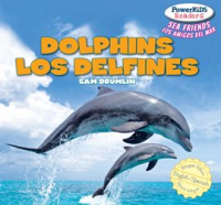 Dolphins___Los_delfines