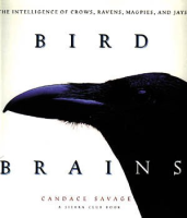 Bird_brains