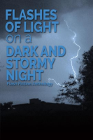 Flashes_of_Light_on_a_Dark_and_Stormy_Night__A_Flash_Fiction_Anthology