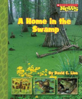A_home_in_the_swamp