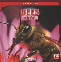 Bees_up_close