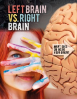 Left_brain_vs__right_brain