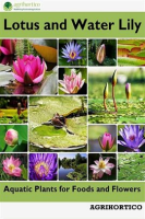 Lotus_and_Water_Lily__Aquatic_Plants_for_Foods_and_Flowers