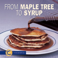 From_maple_tree_to_syrup