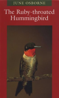 The_Ruby-throated_Hummingbird