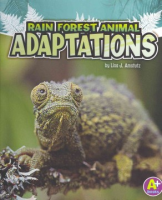 Rain_forest_animal_adaptations