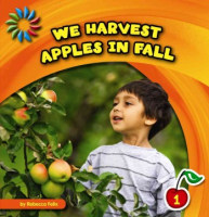 We_harvest_apples_in_fall