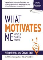 What_motivates_me