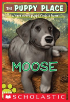 Moose__The_Puppy_Place__23_