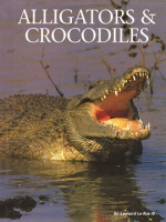 Alligators___Crocodiles