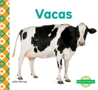 Vacas__Cows_