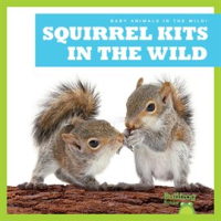 Squirrel_Kits_in_the_Wild