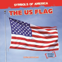 The_US_flag