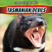 Tasmanian_devils