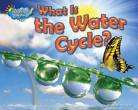 What_is_the_water_cycle_