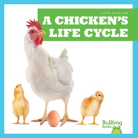 A_chicken_s_life_cycle