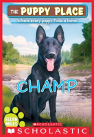 Champ__The_Puppy_Place__43_