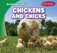 Chickens_and_chicks