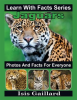 Jaguars_Photos_and_Facts_for_Everyone
