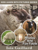 Sheep_Photos_and_Fun_Facts_for_Kids