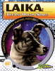 Laika__1st_Dog_in_Space