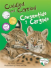 Cuddled_and_Carried___Consentido_y_Cargado