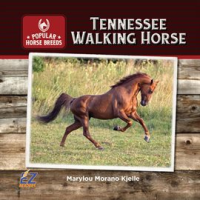 Tennessee_Walking_Horse