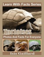 Tortoises_Photos_and_Facts_for_Everyone