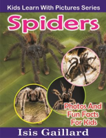 Spiders_Photos_and_Fun_Facts_for_Kids