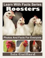 Roosters_Photos_and_Facts_for_Everyone