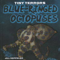 Blue-ringed_octopuses
