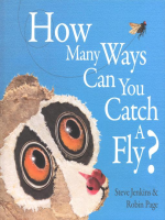 How_Many_Ways_Can_You_Catch_a_Fly_